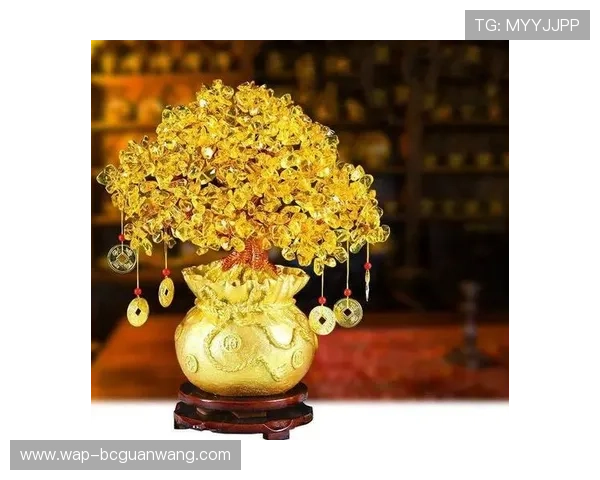 摇钱树娱乐平台打造公平公正的游戏环境，赢取属于你的荣耀与财富