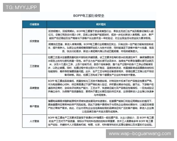 深度剖析PA视讯集团的企业文化及其在行业中的品牌影响力提升路径